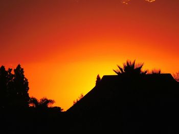 Silhouette of trees at sunset