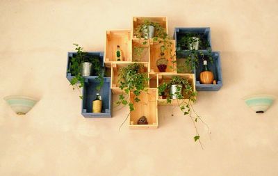 High angle view of potted plants on table at home