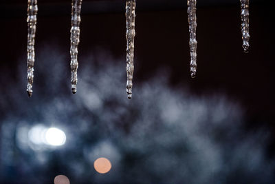 Close-up of icicles hanging on snow