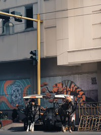 People standing on street in city