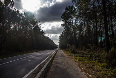 Road amidst trees in forest against sky