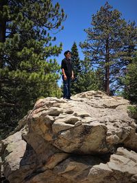 Full length of young man standing on rock at forest