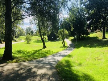 Trees in park