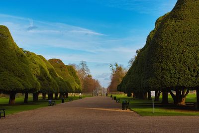 Empty road amidst trees against sky at hampton court