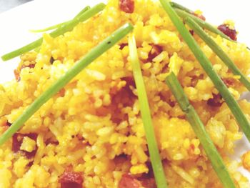 Close-up of meal served in plate