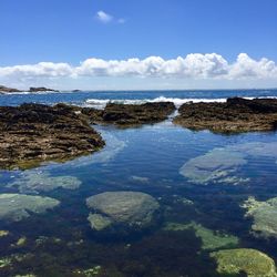 Scenic view of sea against sky