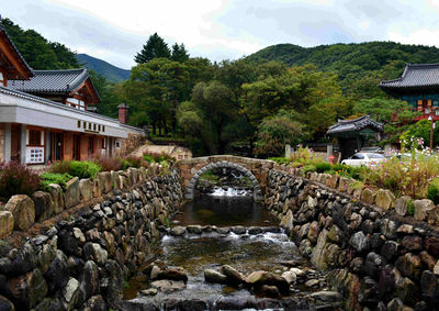 Canal amidst trees and houses against sky