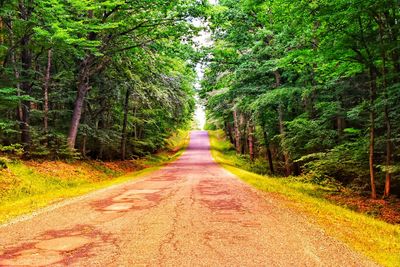 Dirt road amidst trees in forest