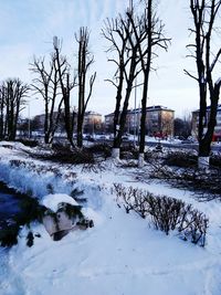 Bare trees on snow covered landscape