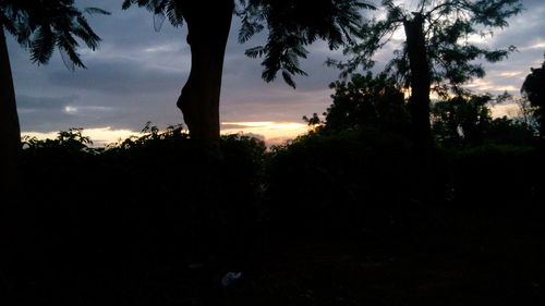 Silhouette trees against sky during sunset