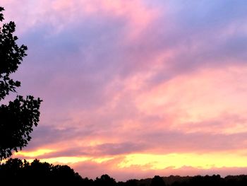 Silhouette of trees at sunset