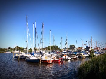 Sailboats in marina