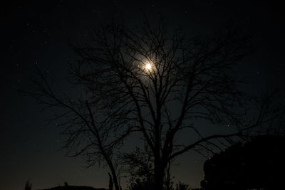 Low angle view of silhouette bare trees against sky at night