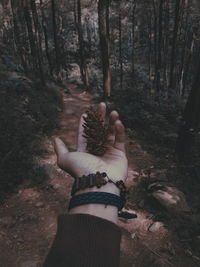 Low angle view of hands on tree trunk in forest
