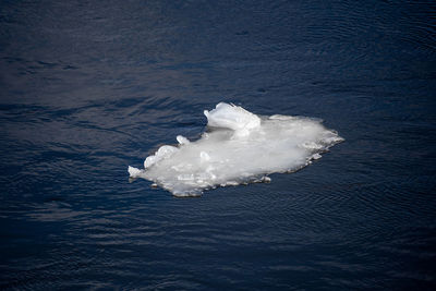 Piece of ice floes drifting on blue sea under the sun, ice melting, climate change, global warming