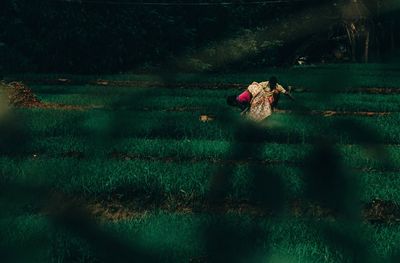 High angle view of woman on grassy field