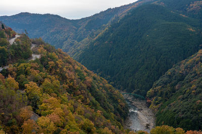 High angle view of trees and mountains