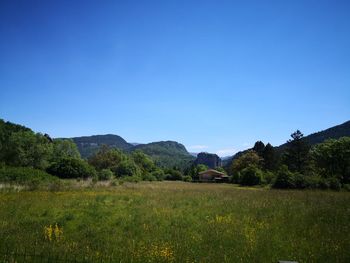 Scenic view of field against clear blue sky