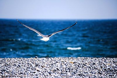 View of flying over sea