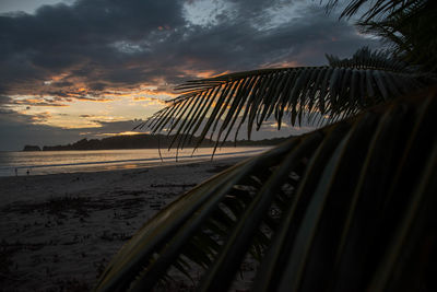 Scenic view of beach against sky during sunset