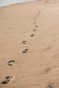 High angle view of footprints on sand at santa monica beach