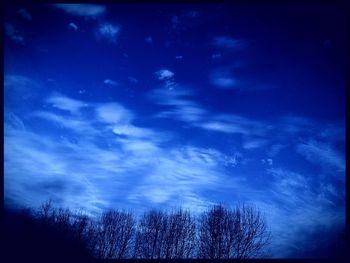 Low angle view of trees against sky at night