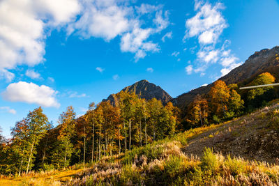 Scenic view of trees and mountains against sky