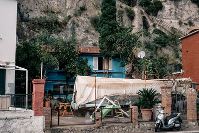 Plants outside house against building