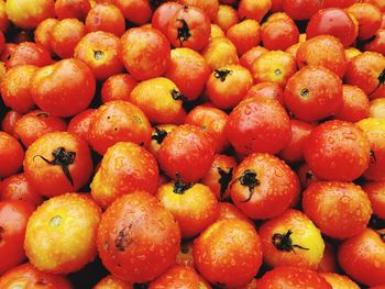 Full frame shot of wet tomatoes for sale