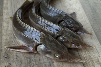 Close-up of fish on wooden table