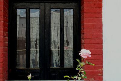 Close-up of flower window