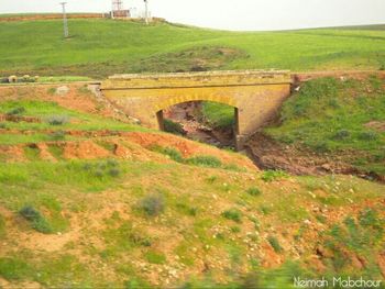 Scenic view of agricultural field