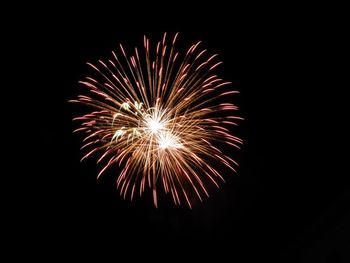 Low angle view of firework display at night