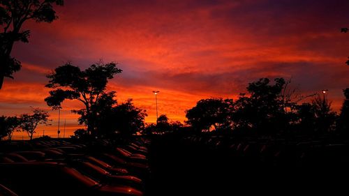 Silhouette of trees against dramatic sky