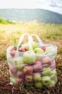 Close-up of fruits in bag on field