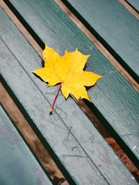 High angle view of yellow leaf on table