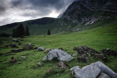 Scenic view of landscape against sky