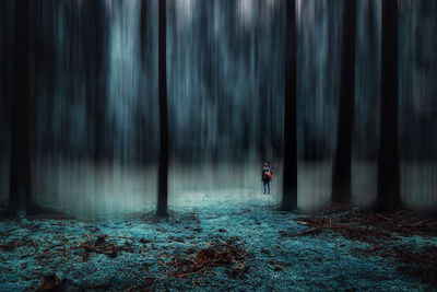 Man standing by trees in forest during foggy weather