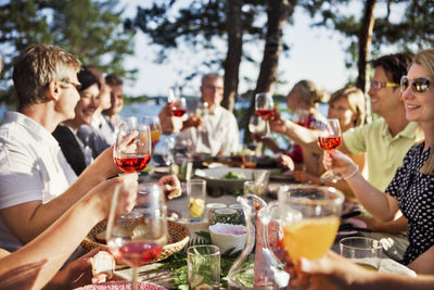 People toasting during meal