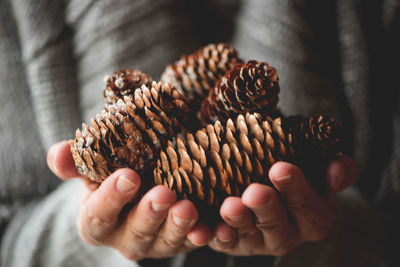 Midsection of woman holding pine cones