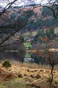 Scenic view of lake by trees against sky