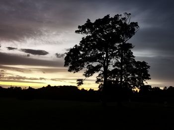 Silhouette tree on field against sky at sunset