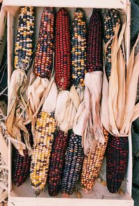 Close-up of corns 