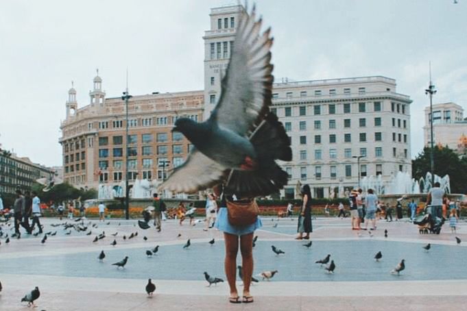 building exterior, architecture, bird, built structure, flying, city, animal themes, animals in the wild, large group of people, wildlife, city life, pigeon, mid-air, spread wings, seagull, sky, person, men