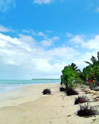 Scenic view of beach against blue sky