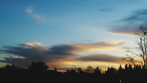 Silhouette of trees against cloudy sky