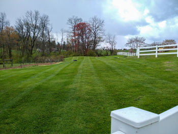 Scenic view of field against sky