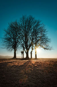 Silhouette bare tree on field against clear sky