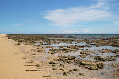 The view on a beach with sea, blue sky and white sand on a sunny day.