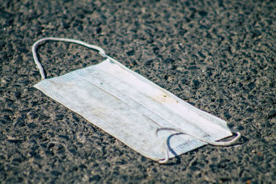 Close-up of umbrella on land